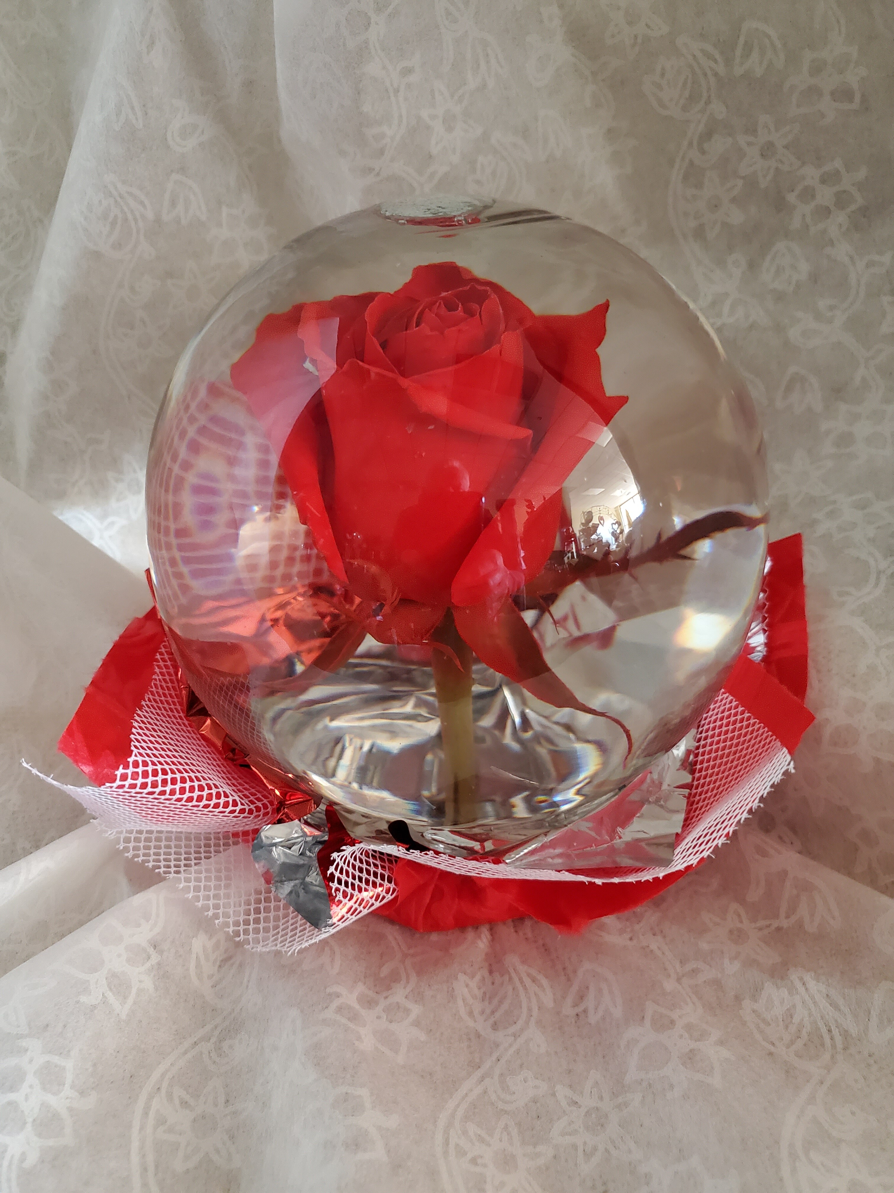 Natural Red Rose in the Globe